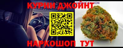 индика Ярославль