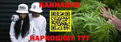 индика Ярославль