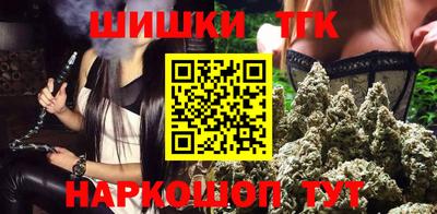индика Ярославль