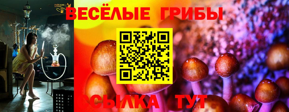 Галлюциногенные грибы мухоморы  Галлюциногенные грибы Psilocybe  Вход с VPN  Верхняя Пышма 